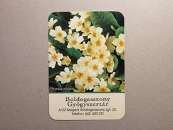 Hungary, card calendar iii.- Boldogasszony pharmacy 2024