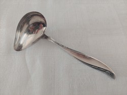 Spoon with silver sauce