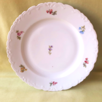 Antique czech cmp porcelain plate.