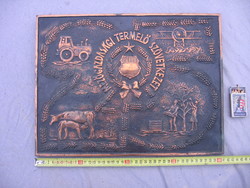 Szocialista címeres, jelzett, bronz, Mezőgazdasági Termelő Szövetkezet tábla, dombormű - relief