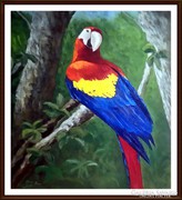 Reibl János - Papagáj ( nagyméretű olajfestmény 53 x 58  )