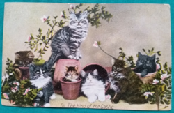 Antique greeting postcard.