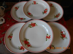 Zsolnay poinsettia pattern flat plate