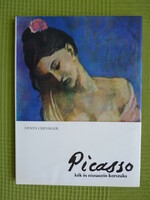 Denys chevalier : Picasso - kék és rózsaszín korszaka