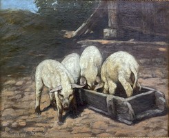 Reiner istvánffy gabriella - village yard with pigs, oil painting