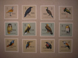 Poland - fauna, protected birds 1960