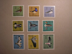 Poland - fauna, birds 1964