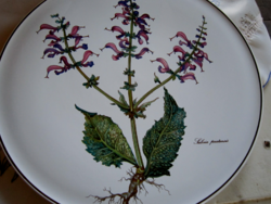 Villeroy and boch botanica field sage salvia pratensis cake plate