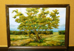 tree on the bank of Balaton. It can be an excellent gift as a living decoration. Signed picture.