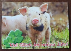 New Year greeting postcard postcard greeting card greeting card pig