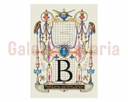The letter B richly decorated from the 16th century, from the work mira calligraphiae monumenta
