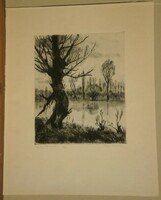 Ilona Fehér (1913-1983): old tree on the banks of the Tisza