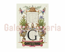 The letter G richly decorated from the 16th century, from the work mira calligraphiae monumenta