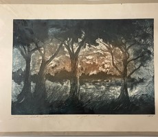 József Olexa: Afternoon on the Danube (etching)