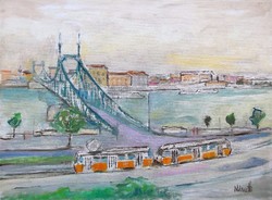 Danube bank with the freedom bridge
