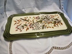 Square ceramic tray, with a green rim, decorated with a very beautiful plant