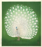 Ohara koson: white peacock, kacho-e Japanese woodcut, excellent quality reprint print wall picture