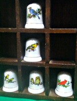 Porcelain thimbles with storage (5 pcs., bird's eye)