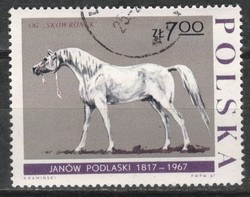Horses 0084