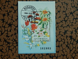 1991. Flowers of continents (ii.) America - block /700ft/