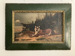 József Pásztor (1864- ) Bengal tiger 1908 (75 x 53 )