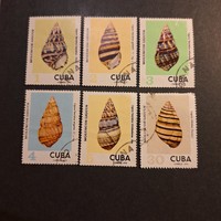 1973.-Cuba shells (v-61.)
