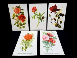 28 floral, name-day, birthday postcards, postage-paid