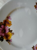 Alföldi plate is a beautiful dahlia