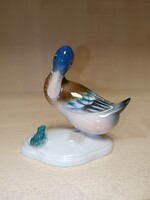 Metzler&ortloff porcelain duck with frog