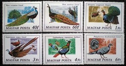 S3176-81 / 1977 Pávák bélyegsor postatiszta