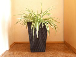Keter plastic planter with rattan effect, vase, pot, pot, 42 cm high
