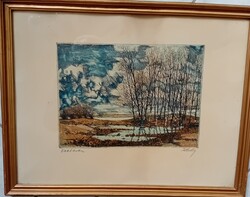 Gyula Feledy: early spring, landscape color etching