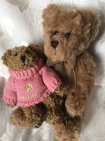 Cute toy teddy bear, bear, pair of teddy bears, plush figures all in one