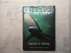 Gaetano Cafiero - Cápák legenda és valóság
