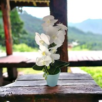 Nagyméretű élethű fehér orchidea kaspóban OR102FH