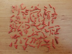 130 pcs 7-25 mm real natural red coral branch