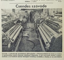1974 May 18 / Hungarian newspaper / no.: 23181
