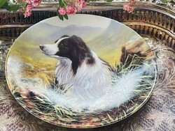 Royal Worcester Border Collie decorative plate.