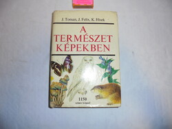 A természet képekben - 1150 színes képpel - 1981 - Környezetünk növény-és állatvilága