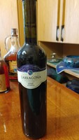 Baturrica gran reserva tarragona Spanish dry red wine