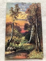 Antique, old postcard - 1906 -10.