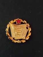 Socialist brigade badge badge