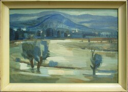 Otto Vágfalvi: flooding c. Picture gallery painting