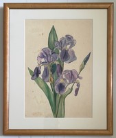 Mariska Undi (1877-1959): irises. Signed watercolor painting.