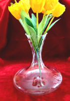 Modern vonalú szép üveg váza