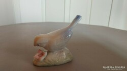 Kínai porcelán galamb