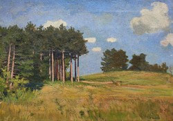 Sándor Nyilasy ( 1873 - 1934 ) sunny meadow