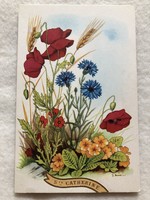 Antique, old graphic postcard -10.