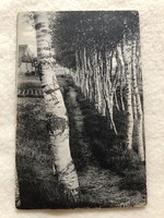 Antique, old postcard with long address - 1905 -10.