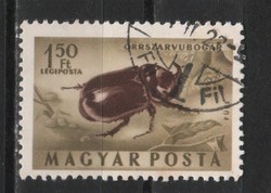 Stamped Hungarian 2008 mpik 1421 xiii a cat price 1200 HUF.